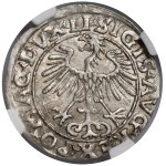 Zygmunt II August, Półgrosz Wilno 1553