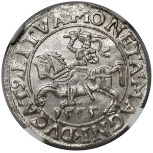Sigismund II Augustus, Vilnius Half-Groschen, 1555