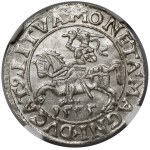 Zygmunt II August, Półgrosz Wilno 1555
