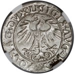 Zygmunt II August, Półgrosz Wilno 1555