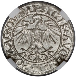 Sigismund II Augustus, Vilnius Half-Groschen, 1549 – plain – LI