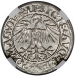 Zygmunt II August, Półgrosz Wilno 1549