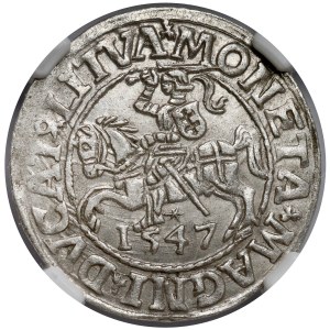 Sigismund II Augustus, Vilnius Half-Groschen, 1547