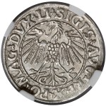 Zygmunt II August, Półgrosz Wilno 1547