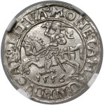 Zygmunt II August, Półgrosz Wilno 1556