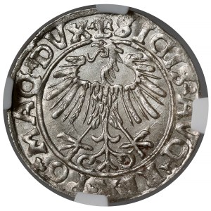 Zygmunt II August, Półgrosz Wilno 1556 - L