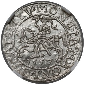 Sigismondo II Augusto, mezzo grosz di Vilnius 1557 - LITV