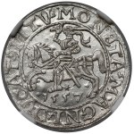 Zygmunt II August, Półgrosz Wilno 1557