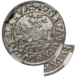 Sigismund II Augustus, Vilnius Half-Grosz, 1556 – MANI error