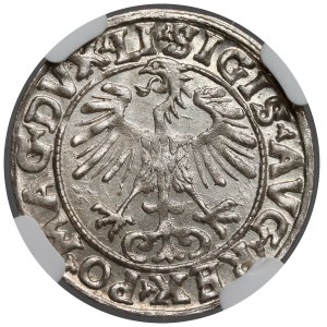 Sigismund II Augustus, Vilnius Half-Grosz, 1556 – MANI error