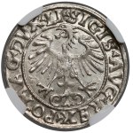 Zygmunt II August, Półgrosz Wilno 1556