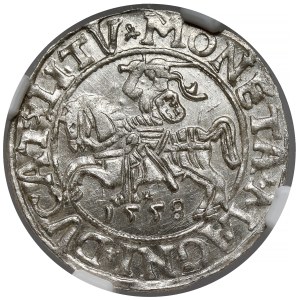 Zygmunt II. August, půlgroš z Vilna, 1558 – LITV