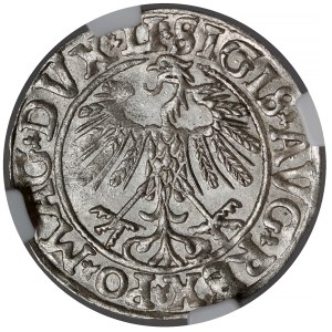Zygmunt II. August, půlgroš z Vilna, 1558 – LITV