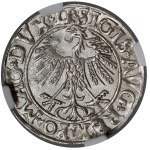 Zygmunt II August, Półgrosz Wilno 1558