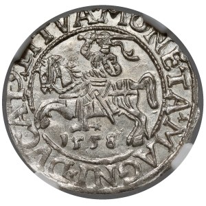 Sigismund II Augustus, Half-grosz, Vilnius, 1558 - LITVA
