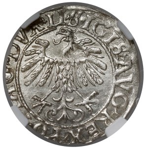 Sigismund II Augustus, Half-grosz, Vilnius, 1558 - LITVA