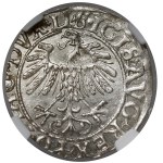 Zygmunt II August, Półgrosz Wilno 1558