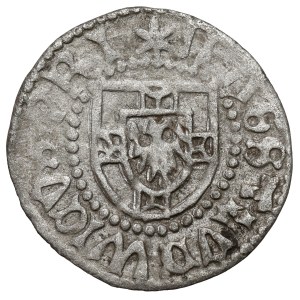 The Teutonic Order, Ludwig von Erlichshausen, Szeląg—rare