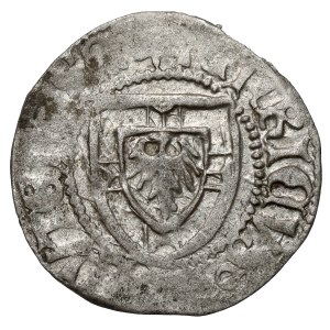 L'Ordine dei Cavalieri Teutonici, Enrico Reuss von Plauen, lo Szeląg – una croce sopra lo scudo