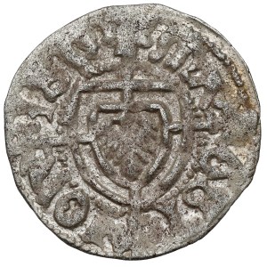 The Teutonic Order, Jan von Tiefen, the Szeląg - MAGST