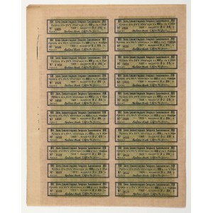 Ukraina, Jelizawietgrad, Obligacja 100 rubli 1918