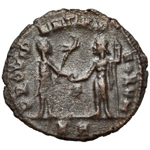 Tacitus (275–276 n. l.) Antoninian, Kyzikos