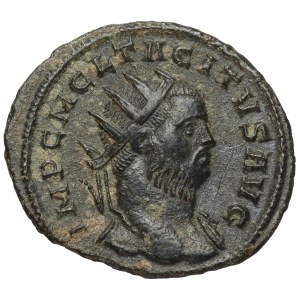 Tacitus (275–276 n. l.) Antoninianus, Rím