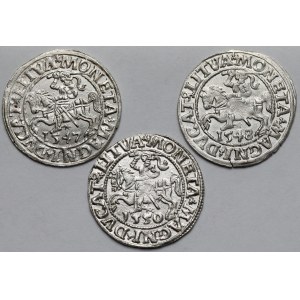 Sigismund II Augustus, Vilnius Half-Groschen 1547–1550 – Beautiful – Set (3 pieces)