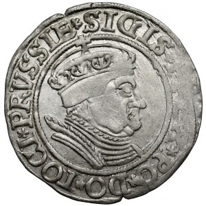 Sigismund I the Old, Toruń grosz, 1534—wearing a bonnet
