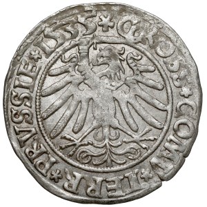 Sigismund I the Old, Toruń grosz, 1535—the last one