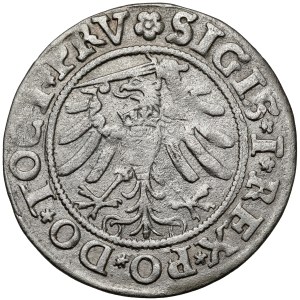 Sigismondo I il Vecchio, Grosz di Elbląg 1533 – primo – PRV