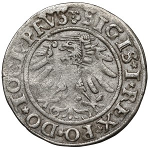 Sigismund I the Old, Elbląg grosz, 1533—the first—PRVS