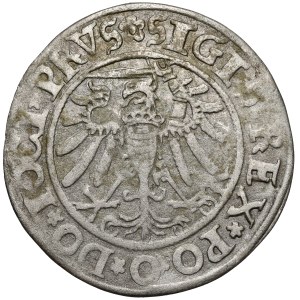Zygmunt I Stary, Grosz Elbląg 1534 - PRVS