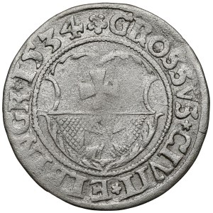 Zygmunt I Stary, Grosz Elbląg 1534 - PRVSS