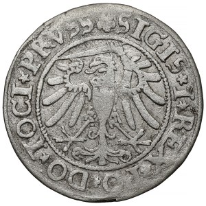 Zygmunt I Stary, Grosz Elbląg 1534 - PRVSS