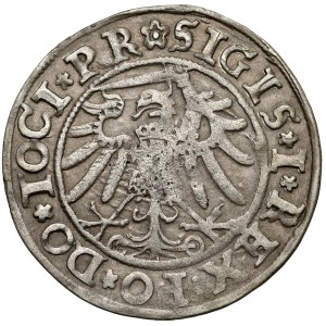 Sigismund I. der Alte, Elblanger Groschen 1534 – PR