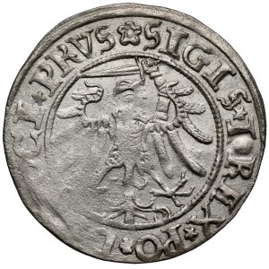 Zygmunt I Stary, Grosz Elbląg 1534 - PRVS
