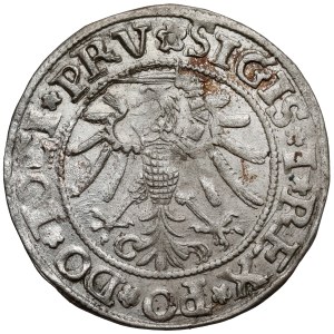 Sigismund I the Old, Elbląg grosz, 1535 - GROSS / ElbinGK - uninscribed