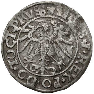 Sigismund I the Old, Elbląg grosz, 1535 - PRVSS - ElbinGK
