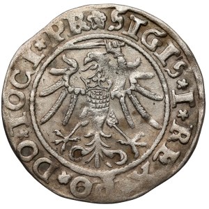 Sigismund I the Old, Elbląg grosz, 1535 - PR