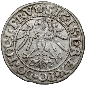 Sigismund I the Old, Elbląg grosz, 1535 – GROSS / Elbink – undated