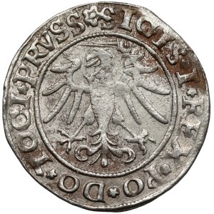 Sigismondo I il Vecchio, Grosz di Elbląg 1535 - PRVSS - Elbink