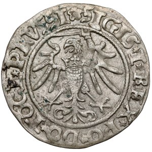 Sigismund I the Old, Elbląg grosz, 1535 - PRVSSI