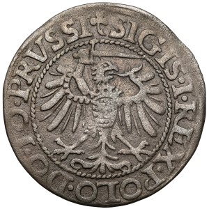 Sigismund I the Old, Elbląg grosz, 1539—facing right—PRVSSI