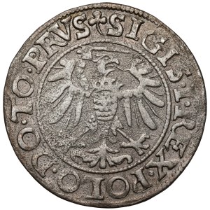Sigismund I the Old, Elbląg grosz, 1539—facing right—PRVS