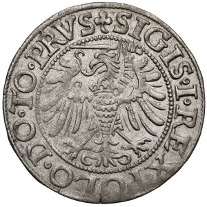 Sigismund I the Old, Elbląg grosz, 1539—facing left—PRVS—different eagle