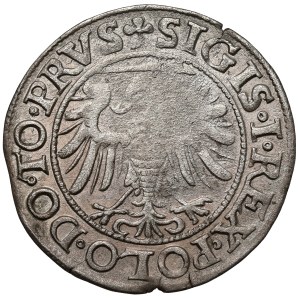 Sigismund I the Old, Elbląg grosz, 1539 — facing left — PRVS