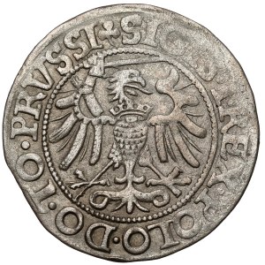 Zygmunt I Stary, Grosz Elbląg 1540 - PRVSSI