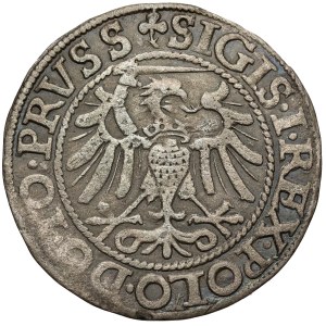 Sigismund I the Old, Elbląg grosz, 1540 - PRVSS