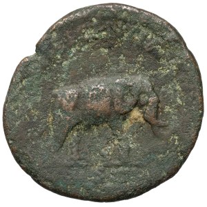 Antoninus Pius (138–161 n. l.) As, Řím